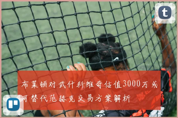 布莱顿对武什科维奇估值3000万或可替代范赫克交易方案解析